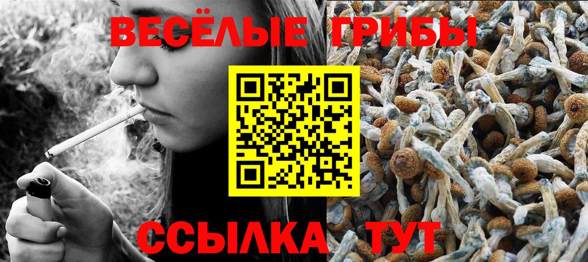 Галлюциногенные грибы MAGIC MUSHROOMS  Галлюциногенные грибы Magic Shrooms  Вход с VPN  Мценск 